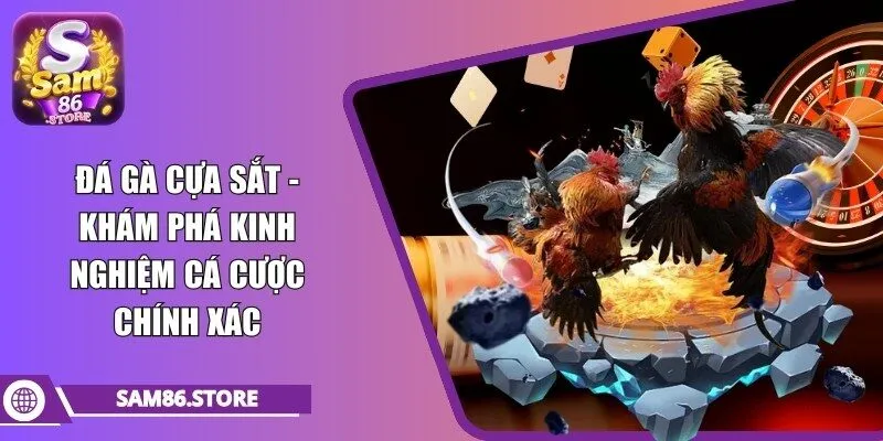 đá gà cựa sắt